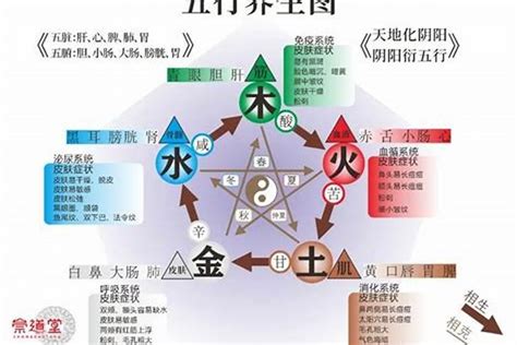 五行水旺缺木